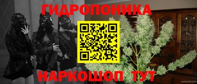 сатива Жуковский