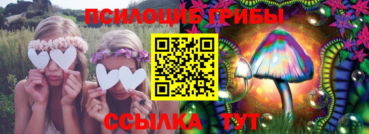 Мурино  Галлюциногенные грибы ЛСД  Псилоцибиновые грибы Magic Shrooms  сколько стоит  Вход с VPN 